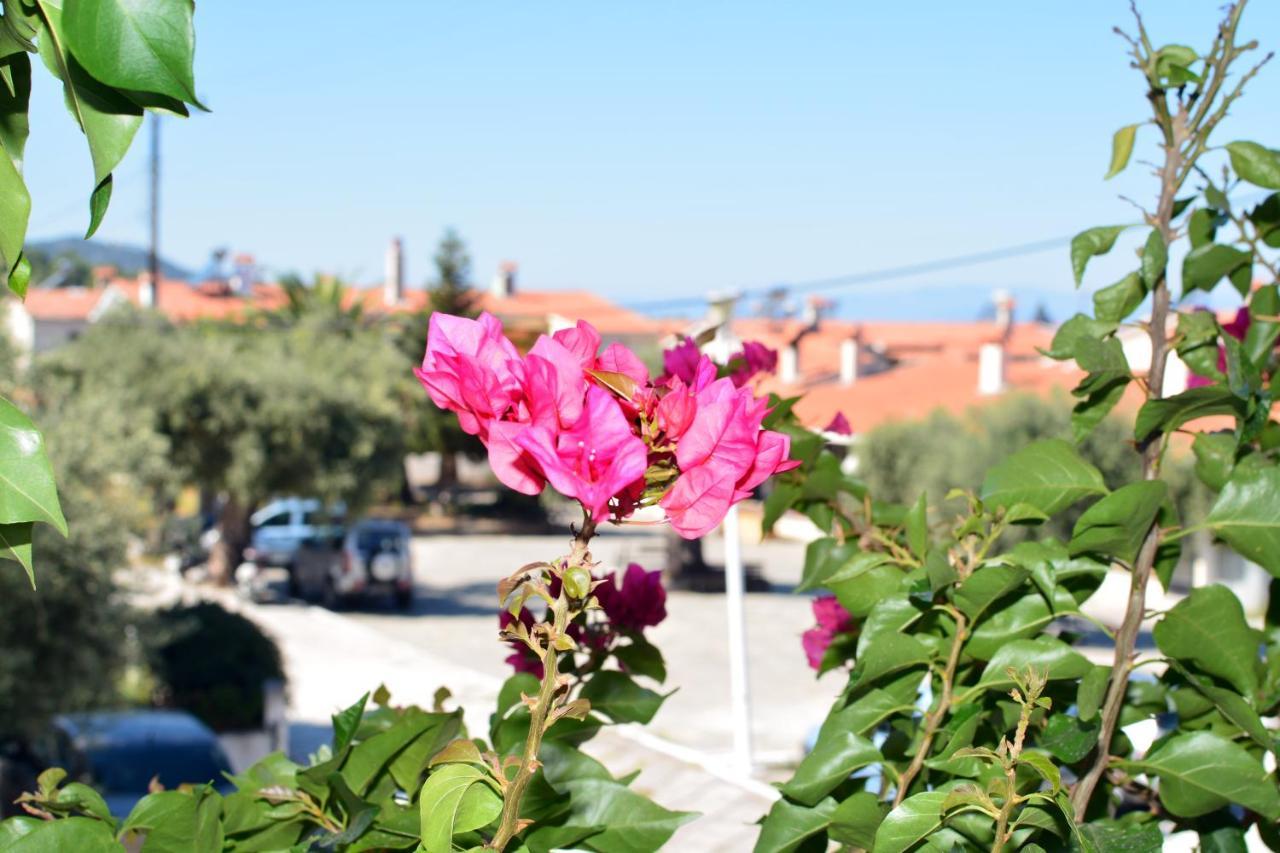 Blue North Luxury Apartment Limenas  Exterior photo