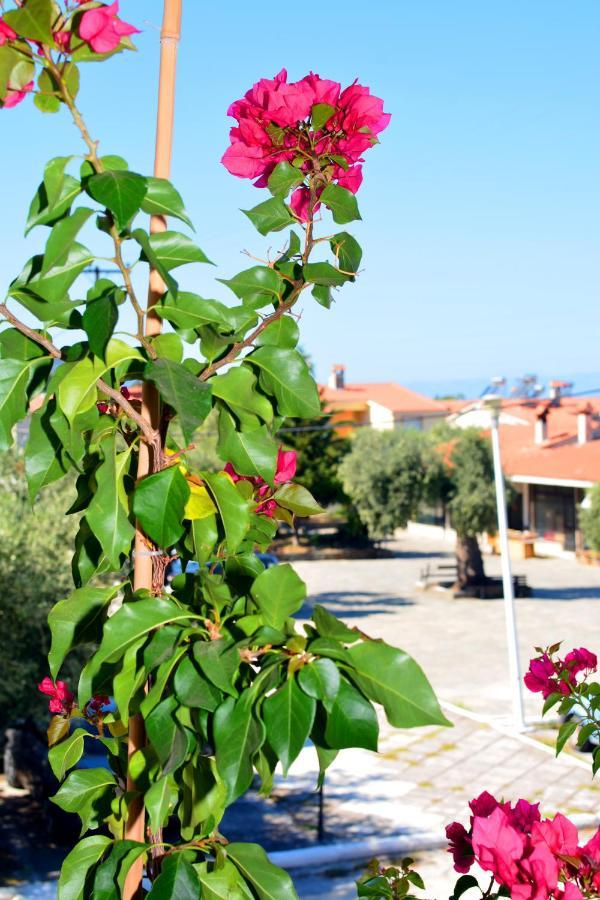 Blue North Luxury Apartment Limenas  Exterior photo